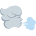 🌬 Windgezicht Emoji Betekenis