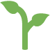 🌱 Zaailing Emoji Betekenis