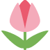 🌷 Tulp Emoji Betekenis