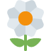 🌼 Bloesem Emoji Betekenis
