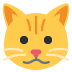 🐱 Kattengezicht Emoji Betekenis