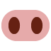🐽 Varkensneus Emoji Betekenis