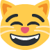 😸 Grijnzende kat met lachende ogen emoji betekenis