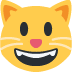 😺 Grijnzende kat Emoji Betekenis