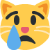 😿 Huilende kat Emoji Betekenis