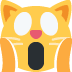 🙀 Vermoeide kat Emoji Betekenis