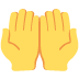 🤲 Handpalmen omhoog samen Emoji Betekenis