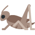 🦗 Cricket-emoji Betekenis